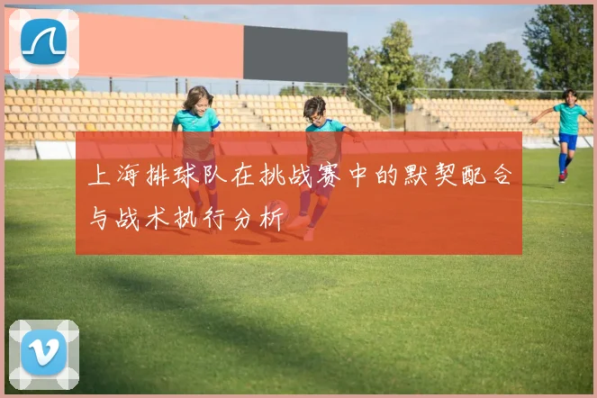 上海排球队在挑战赛中的默契配合与战术执行分析