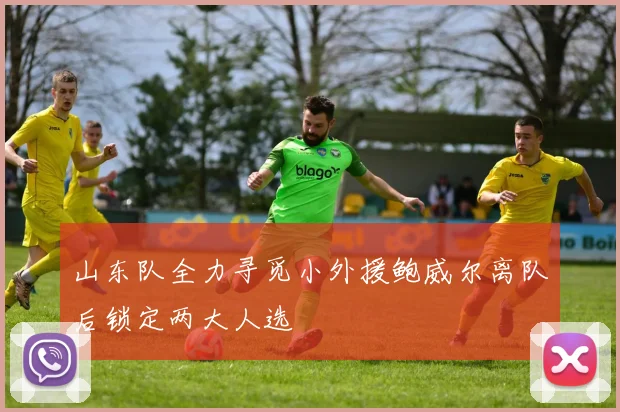 山东队全力寻觅小外援鲍威尔离队后锁定两大人选
