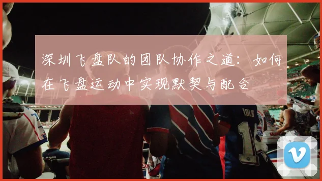 深圳飞盘队的团队协作之道：如何在飞盘运动中实现默契与配合